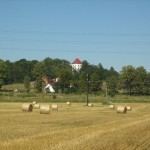 pole po sklizni